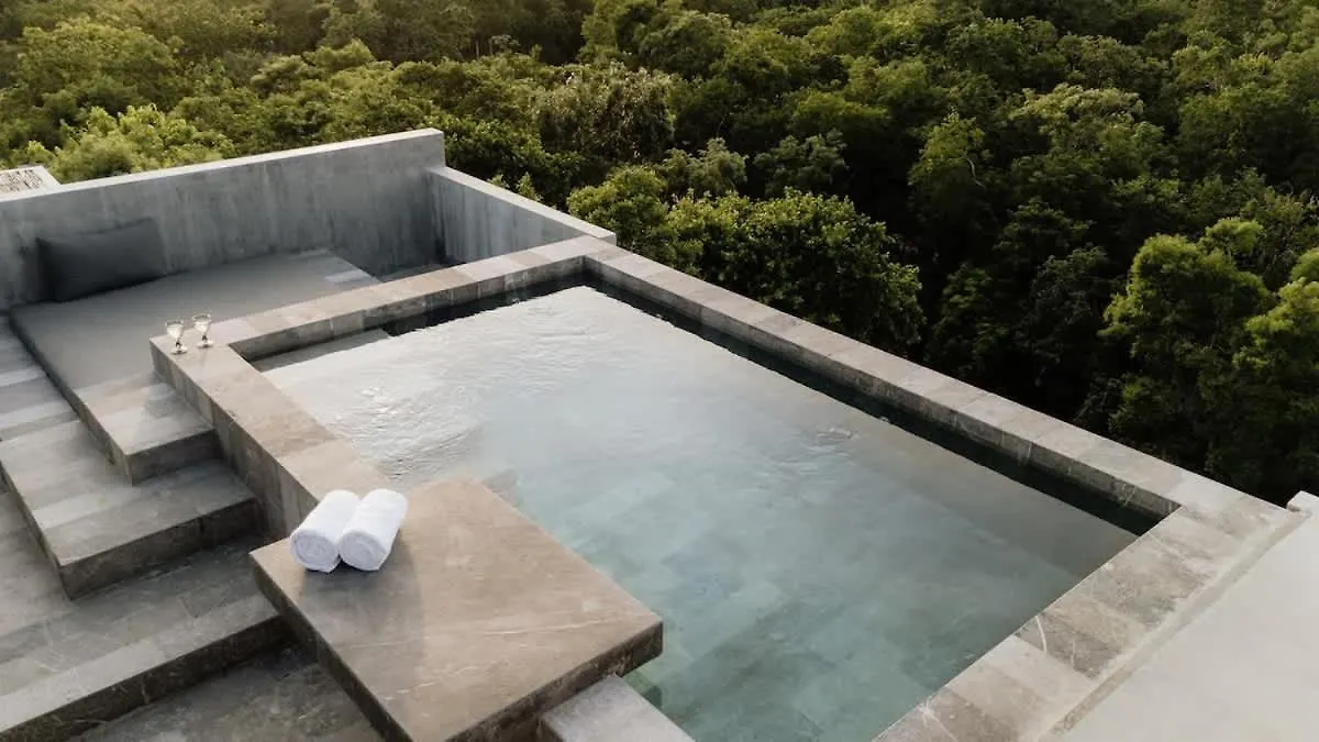 Apartment Barneys Ny Black Penthouse With Pool Tulum
